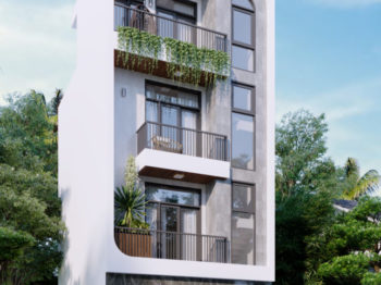 Thiết kế kiến trúc nhà phố 50m2